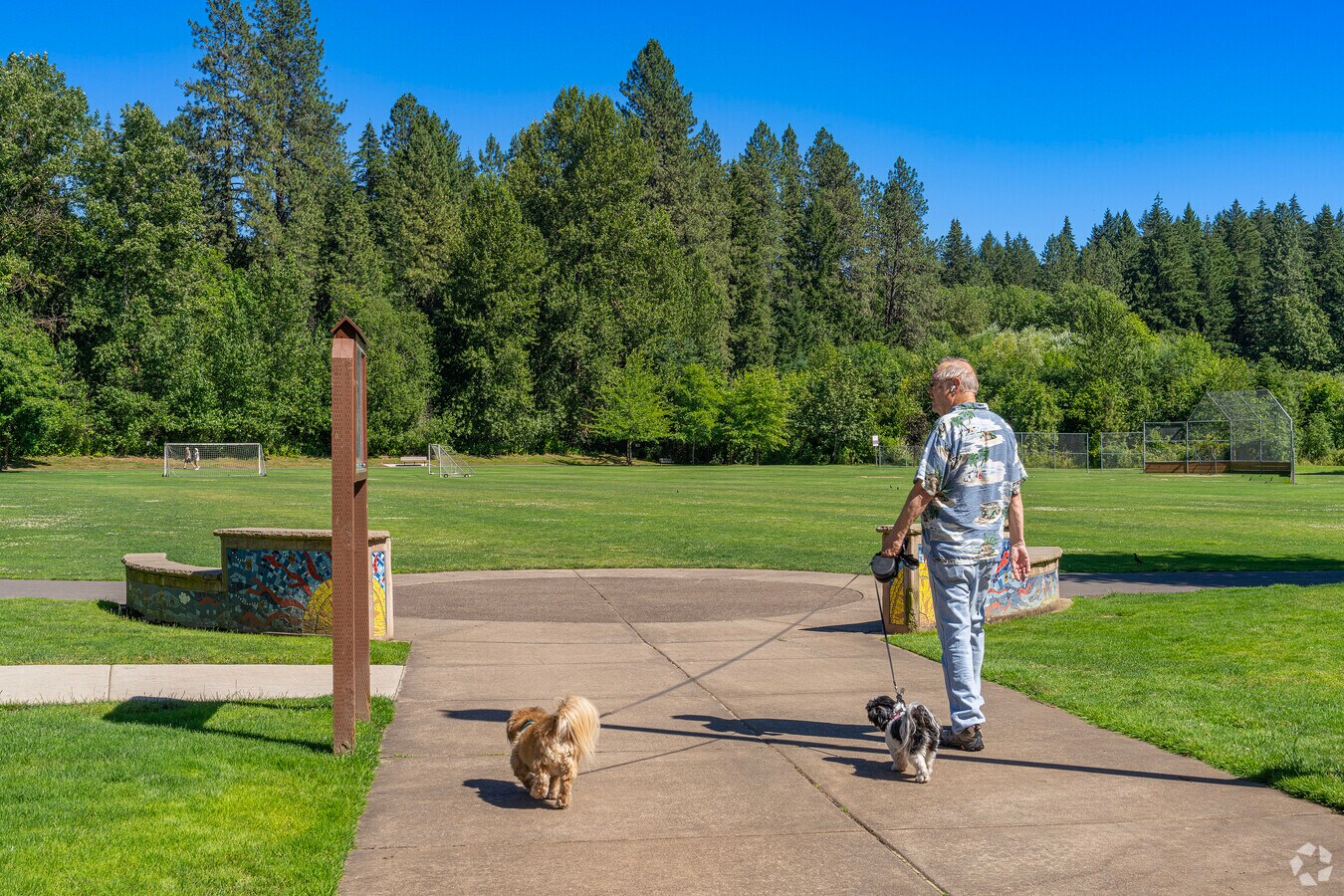 Green common space at the park